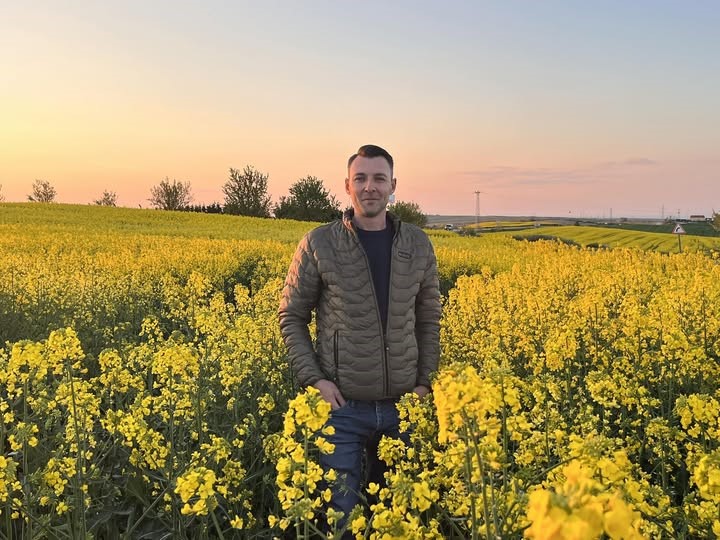 Kanola tarlalarında gün batımı manzarası
