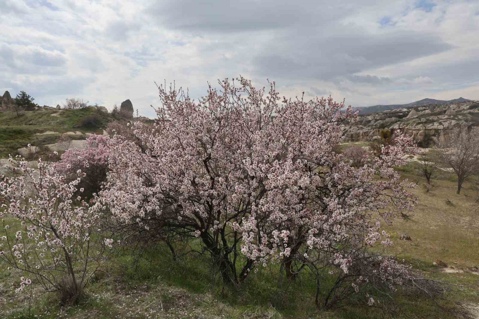 Kapadokya renklendi
Kapadokya renklendi