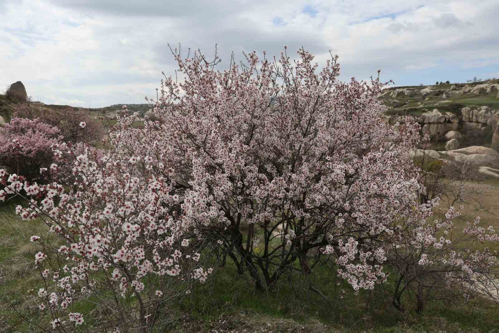 Kapadokya renklendi
Kapadokya renklendi