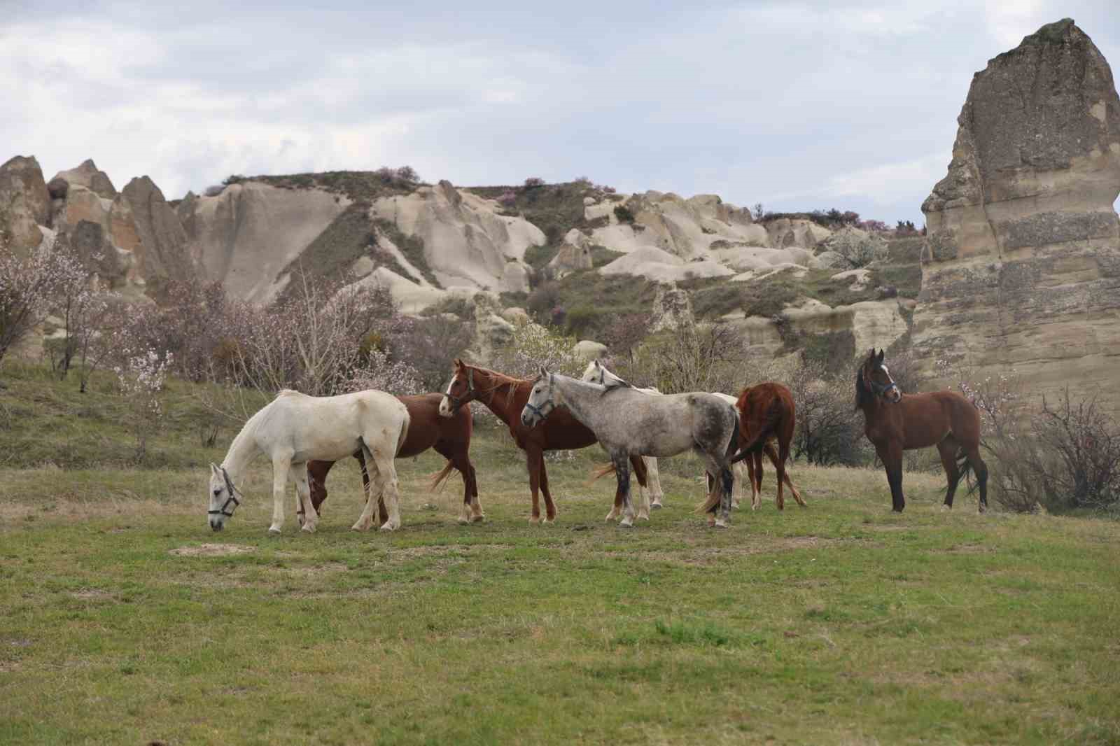 Kapadokya renklendi
Kapadokya renklendi