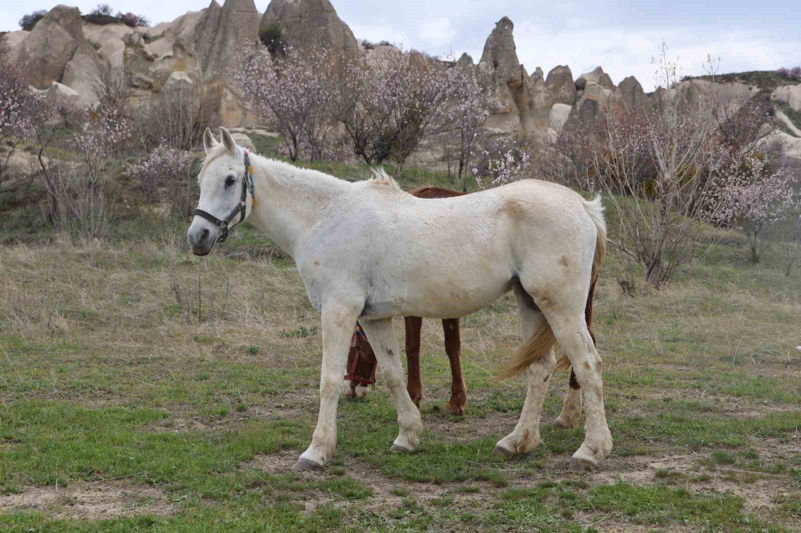 Kapadokya renklendi
Kapadokya renklendi