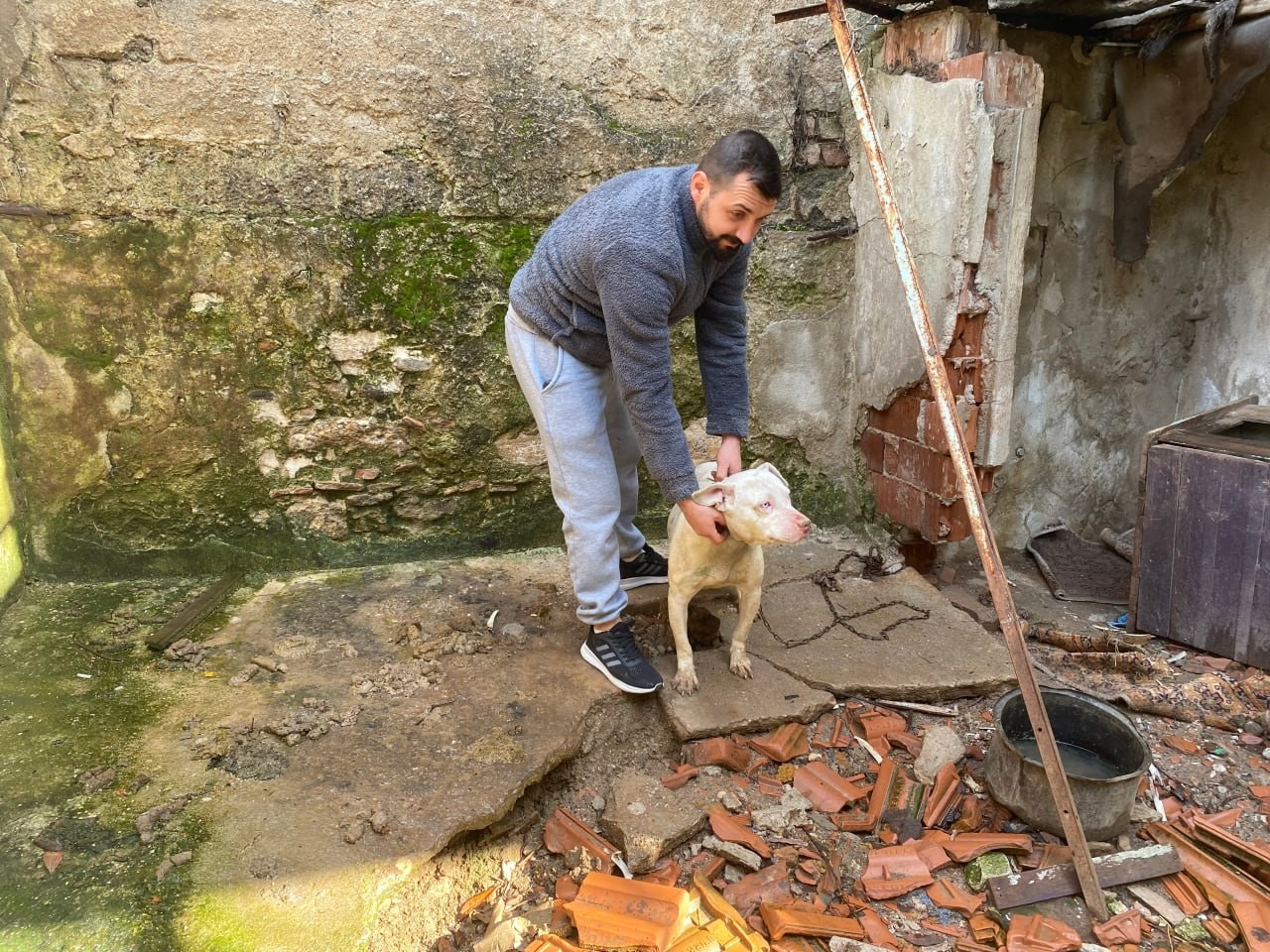 Kapalı inşaat çukuruna düşen köpeği itfaiye kurtardı
