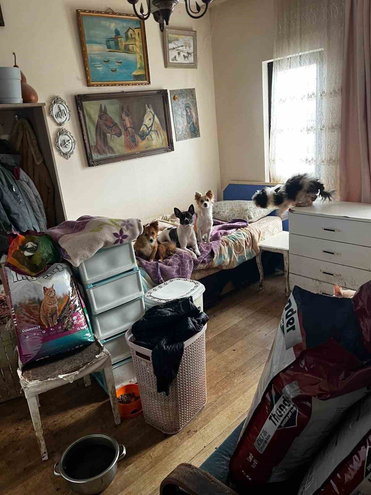 Kapı açılınca karşılaşılan manzara şoke etti
