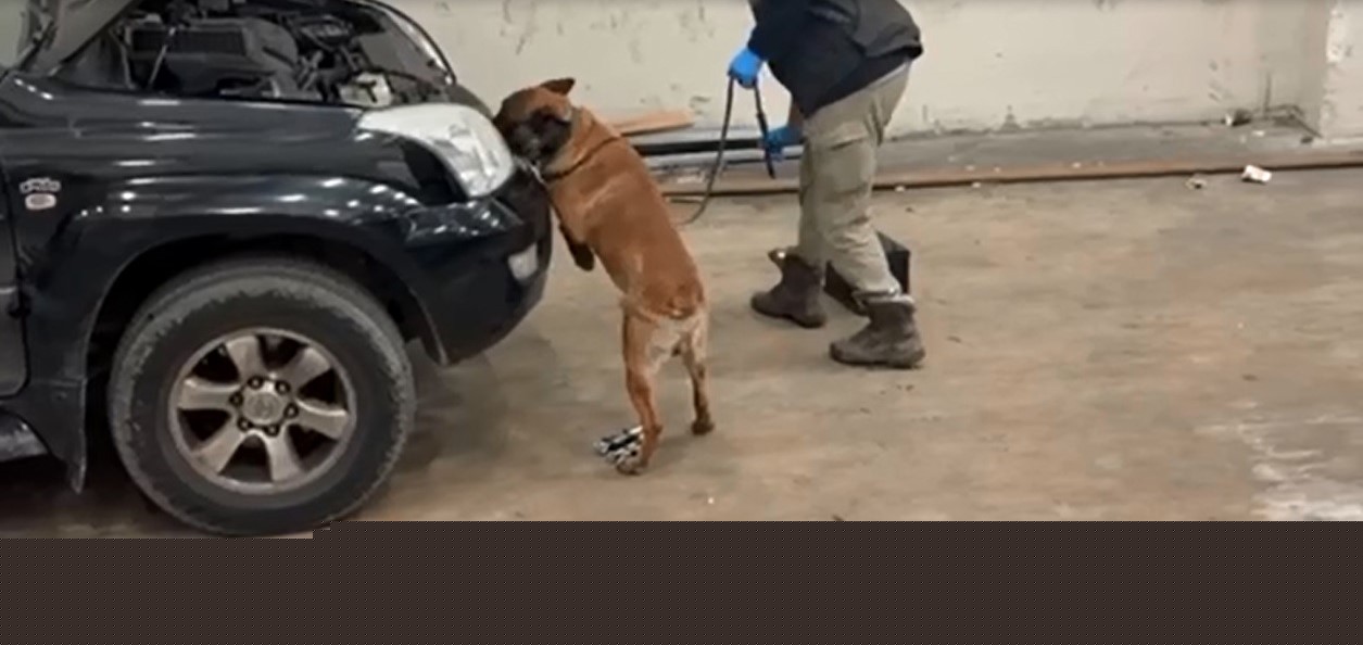 Kapıkule’de araçtaki gizli bölmede 8 kilo 60 gram kokain ele geçirildi
