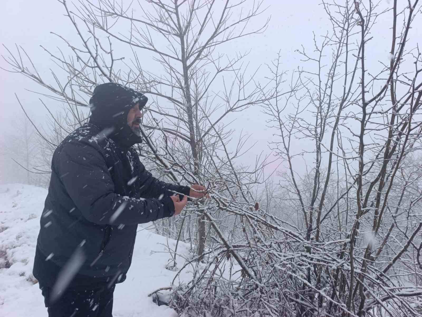 Kar altında kalan fındık bahçeleri, üreticileri tedirgin ediyor
