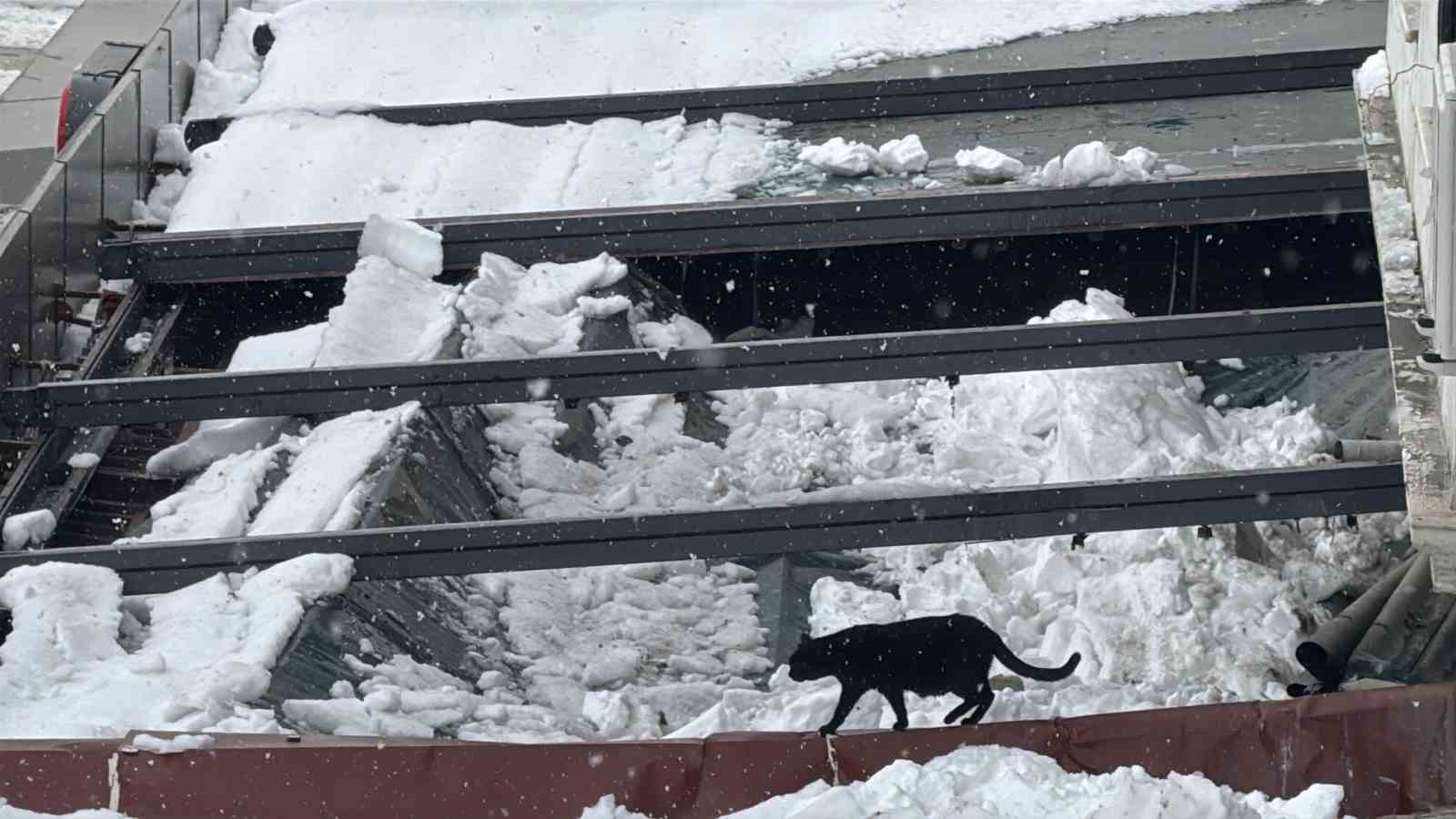 Kar birikintisi zincir marketin çatısını çökertti
