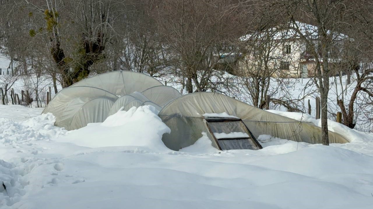 Kar birikintisine dayanamayan seralar çöktü
