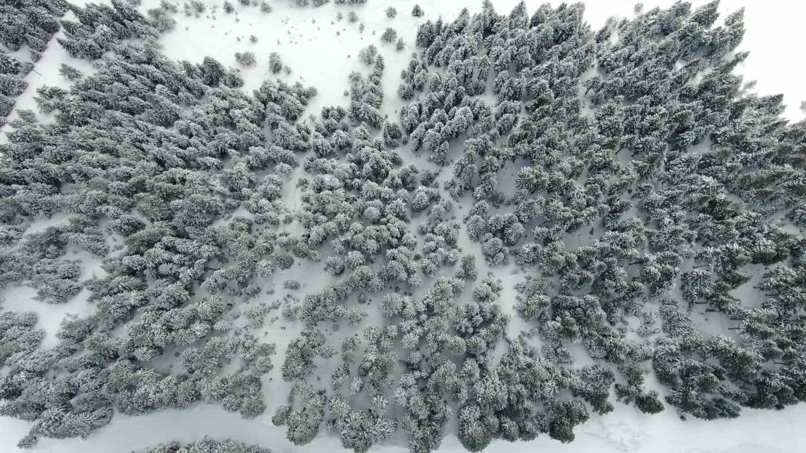 Kar geri döndü: Nisan ayında kışı aratmayan manzara
