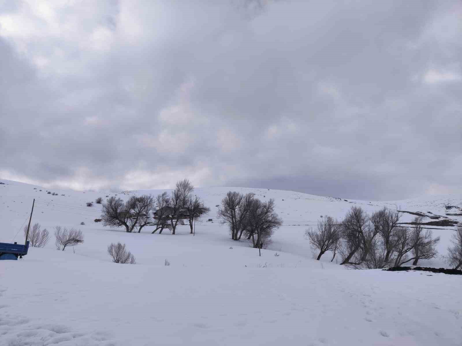 Kar yağışı Aşkale’de yeniden etkili oluyor

