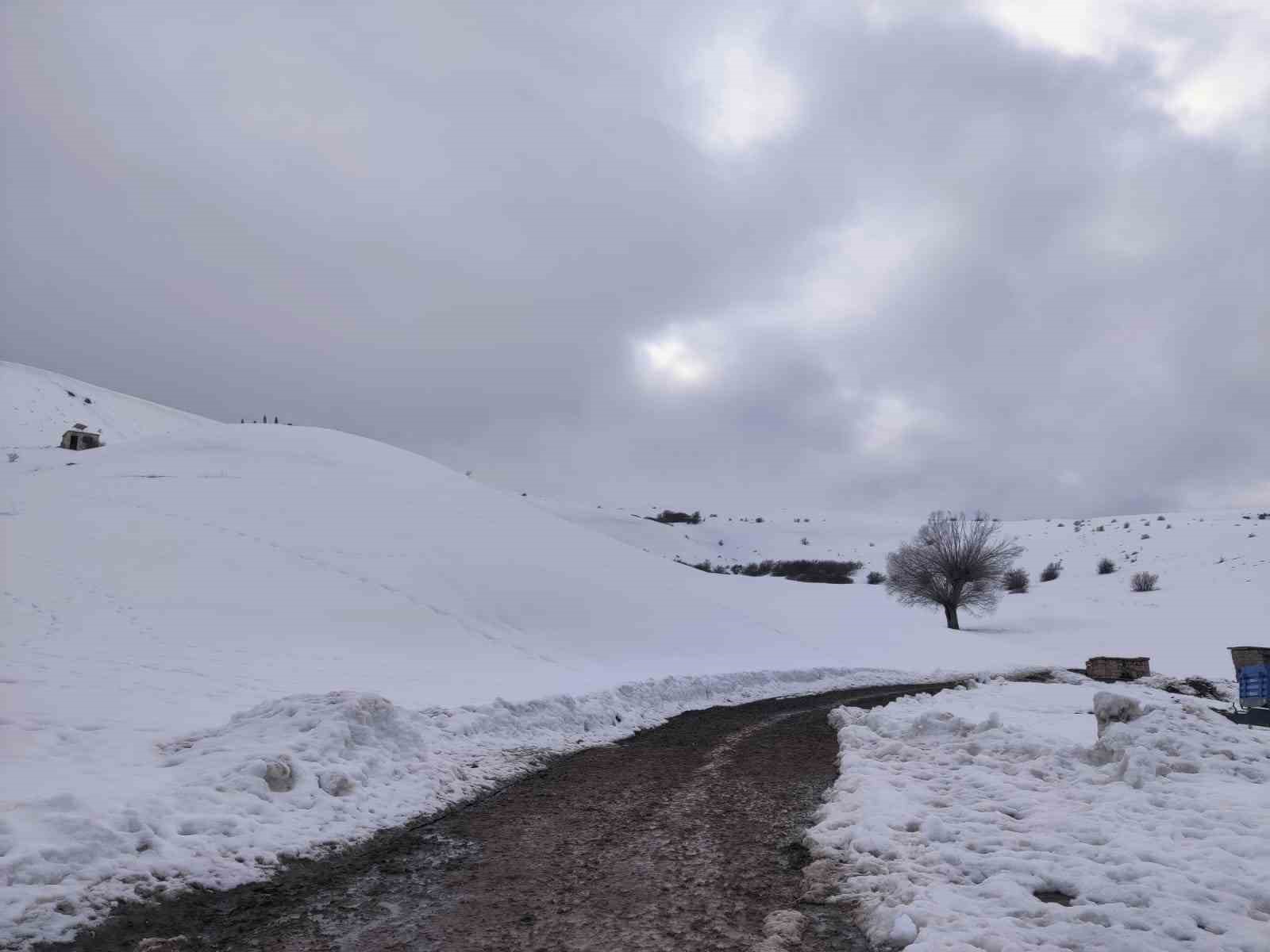 Kar yağışı Aşkale’de yeniden etkili oluyor
