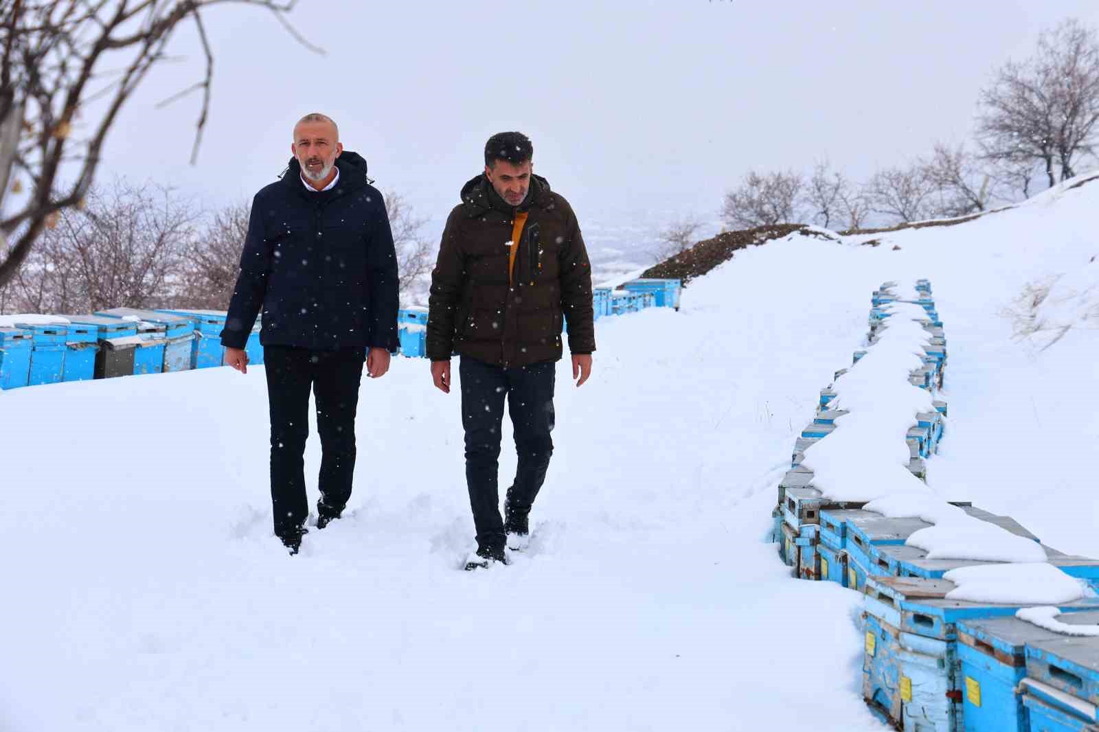 Kar yağışı, koloni kayıplarını ve hastalıkları minimuma indirdi: Arıcılar sezonundan ümitli
Kar yağışı, koloni kayıplarını ve hastalıkları minimuma indirdi: Arıcılar sezonundan ümitli