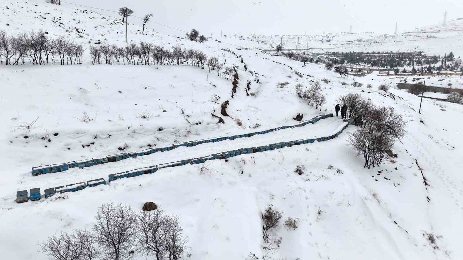 Kar yağışı, koloni kayıplarını ve hastalıkları minimuma indirdi: Arıcılar sezonundan ümitli
Kar yağışı, koloni kayıplarını ve hastalıkları minimuma indirdi: Arıcılar sezonundan ümitli