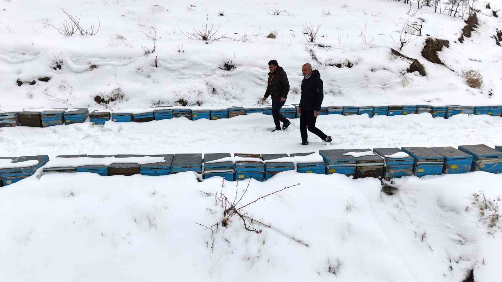 Kar yağışı, koloni kayıplarını ve hastalıkları minimuma indirdi: Arıcılar sezonundan ümitli
Kar yağışı, koloni kayıplarını ve hastalıkları minimuma indirdi: Arıcılar sezonundan ümitli