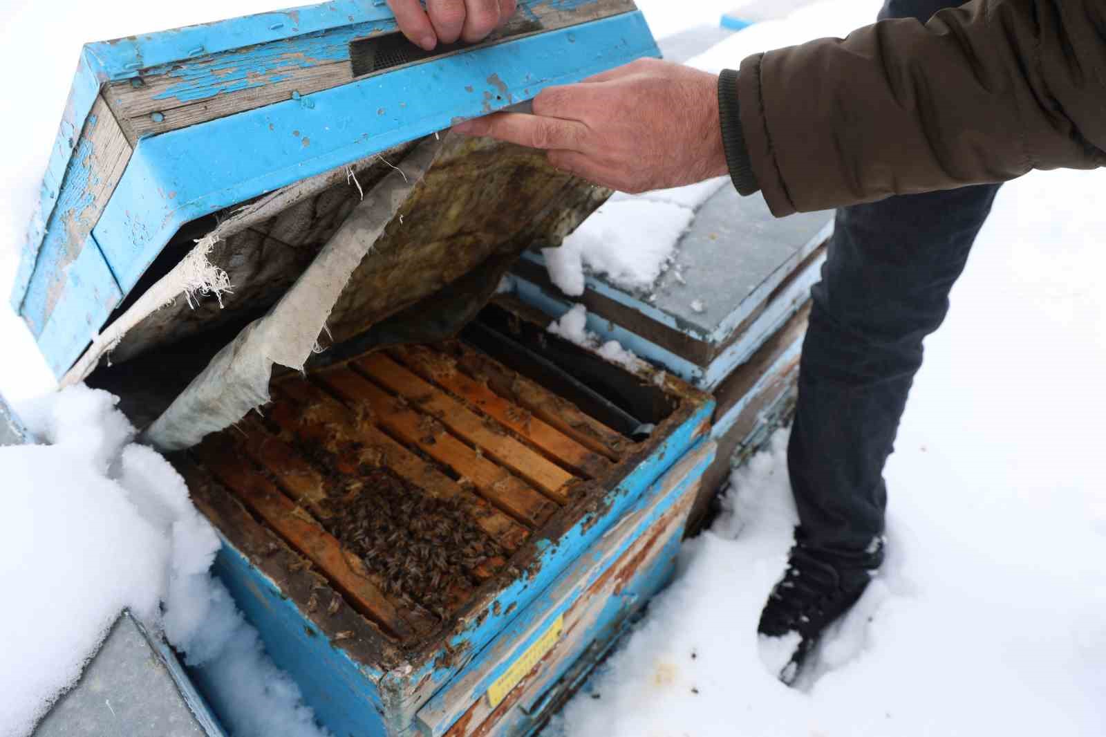 Kar yağışı, koloni kayıplarını ve hastalıkları minimuma indirdi: Arıcılar sezonundan ümitli
Kar yağışı, koloni kayıplarını ve hastalıkları minimuma indirdi: Arıcılar sezonundan ümitli