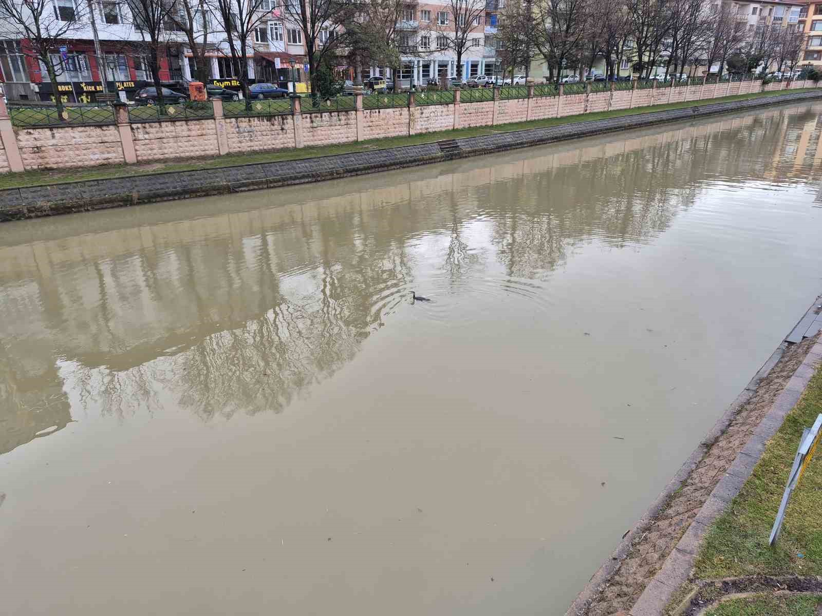 Karabatak kuşu Porsuk Çayı’nda avlanmaya çalıştı
