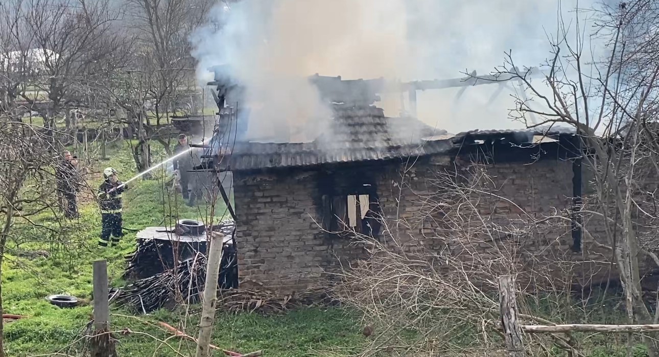 Karabük’te müştemilat yangını: 2 köpek yavrusu telef oldu
