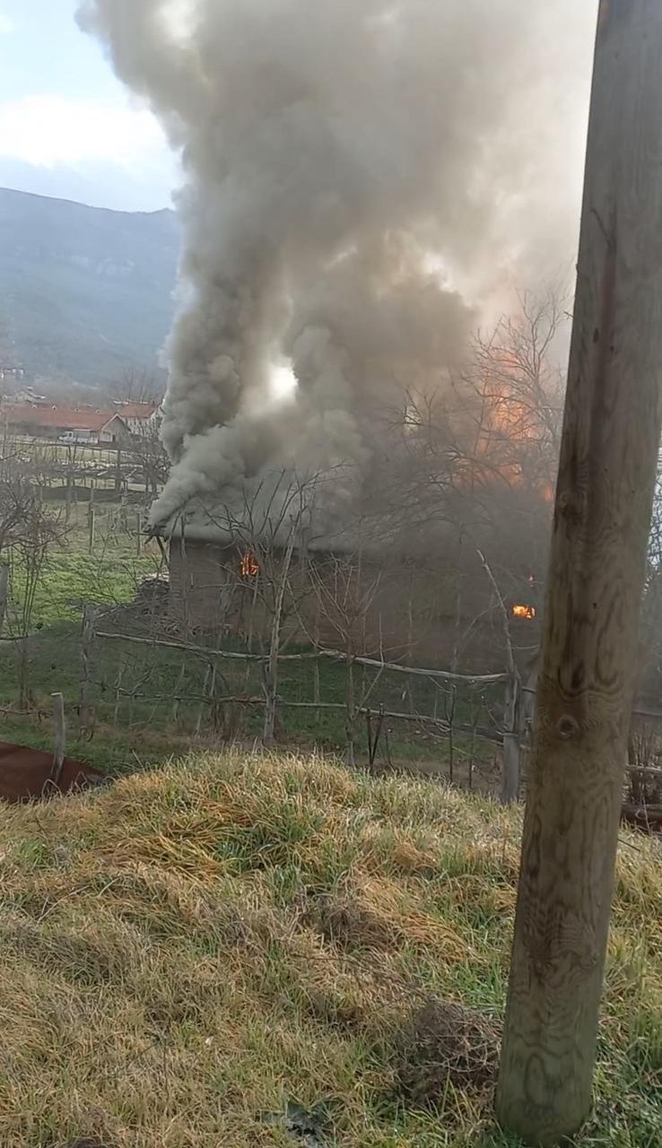 Karabük’te müştemilat yangını: 2 köpek yavrusu telef oldu
