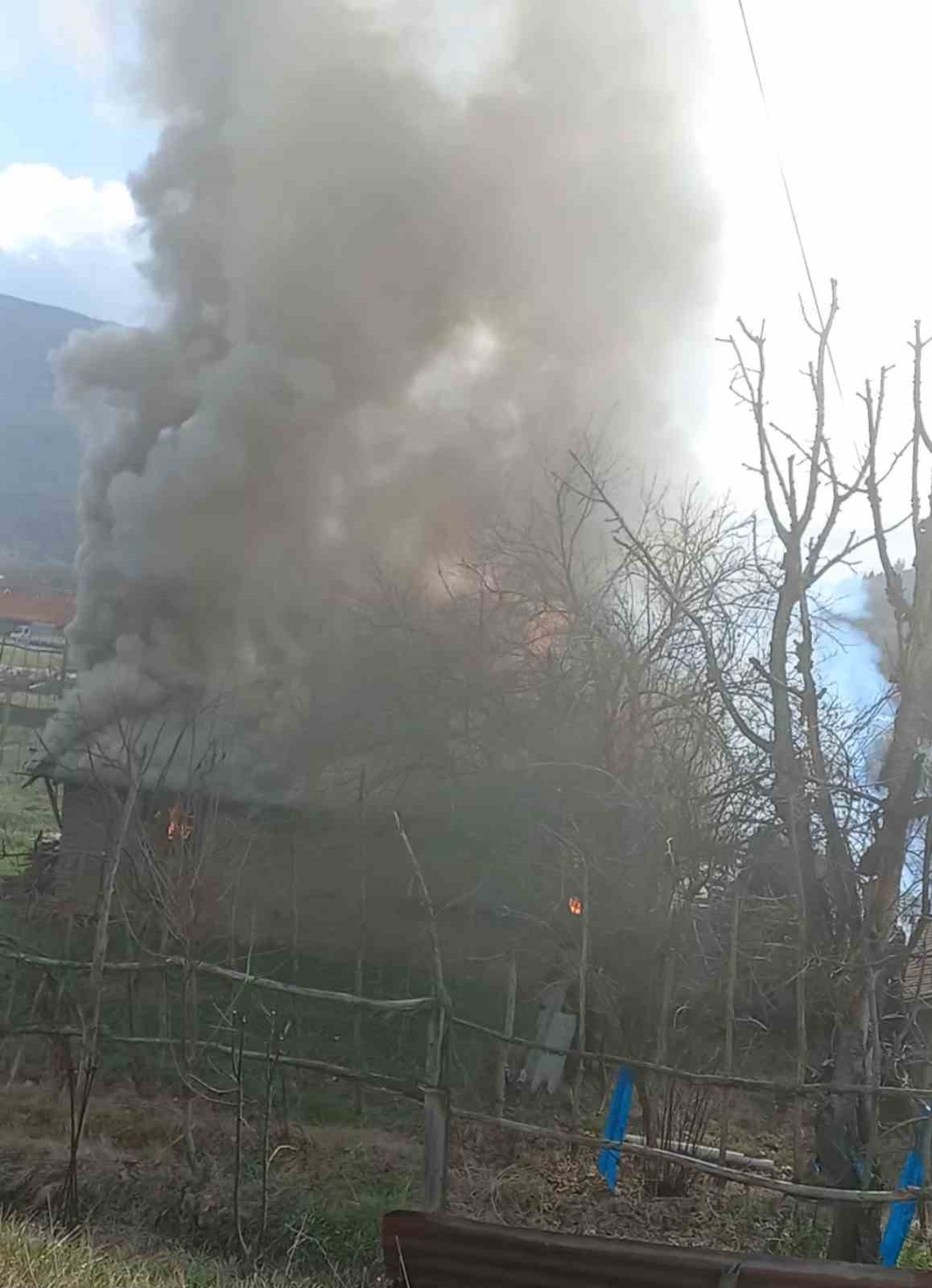 Karabük’te müştemilat yangını: 2 köpek yavrusu telef oldu
