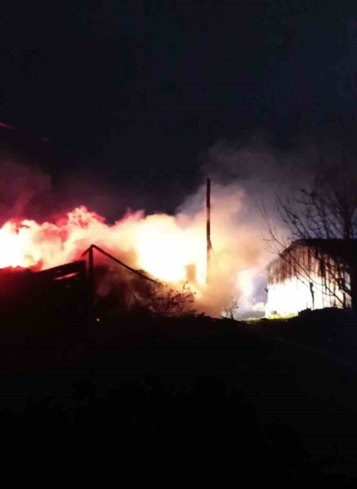 Karabük’te samanlık ve odunluk yangında küle döndü
