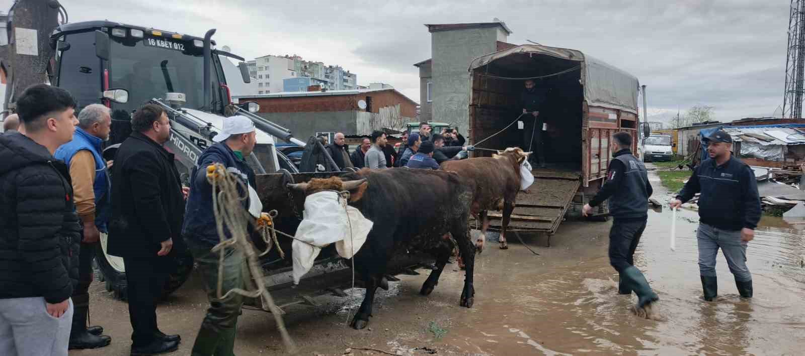Karacabey Belediyesi doğal afetlere karşı tüm gücüyle sahada
