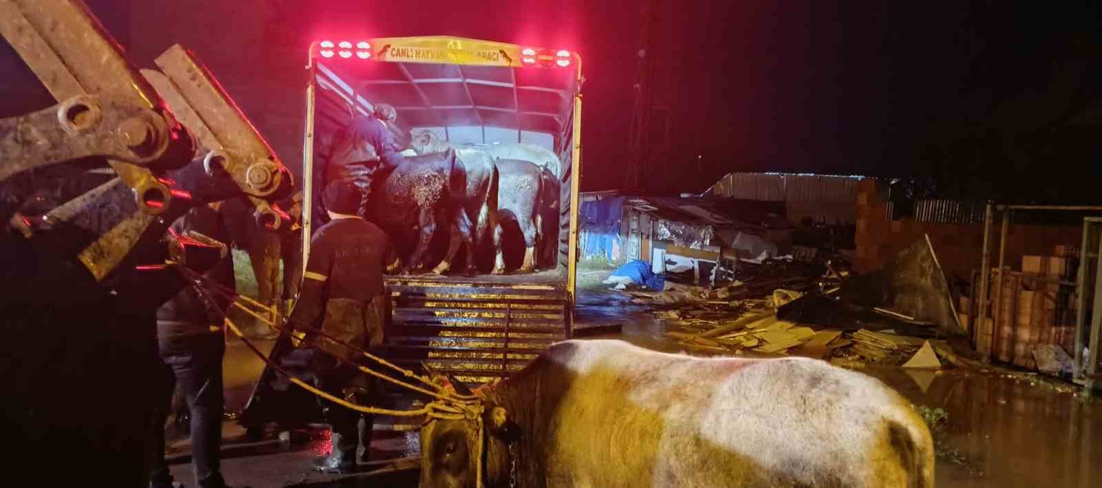 Karacabey Belediyesi doğal afetlere karşı tüm gücüyle sahada

