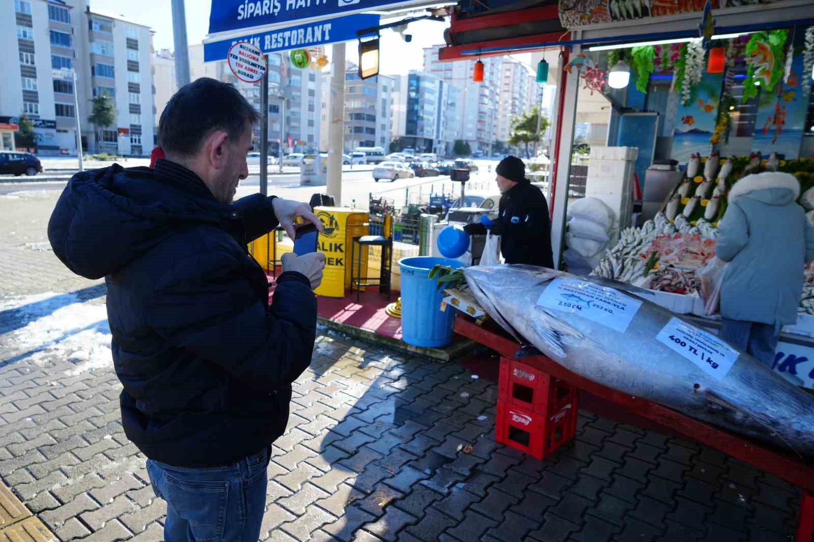 Karadeniz’de avlanan 353 kiloluk dev orkinos ilgi odağı oldu
