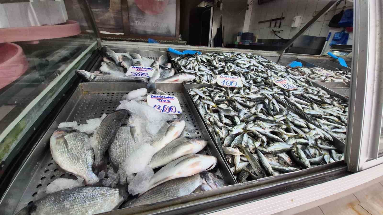 Karadeniz’de hamsi yerini istavrite bıraktı
