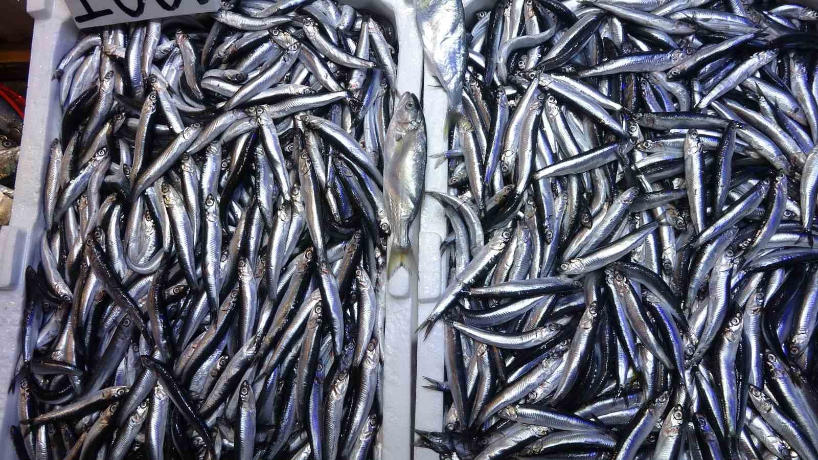 Karadeniz’de sezon sonu bereketi
