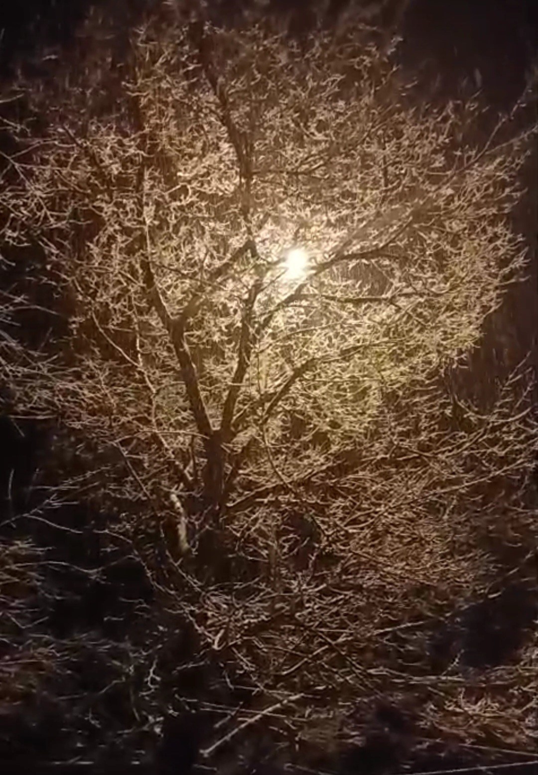 Karakoçan’da kar yağışı etkili oldu
