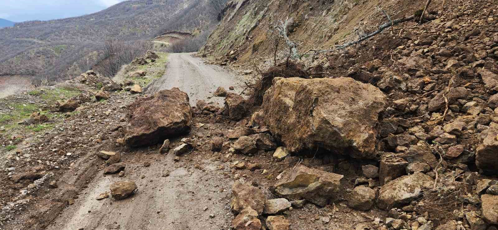 Karakoçan’da toprak kayması
