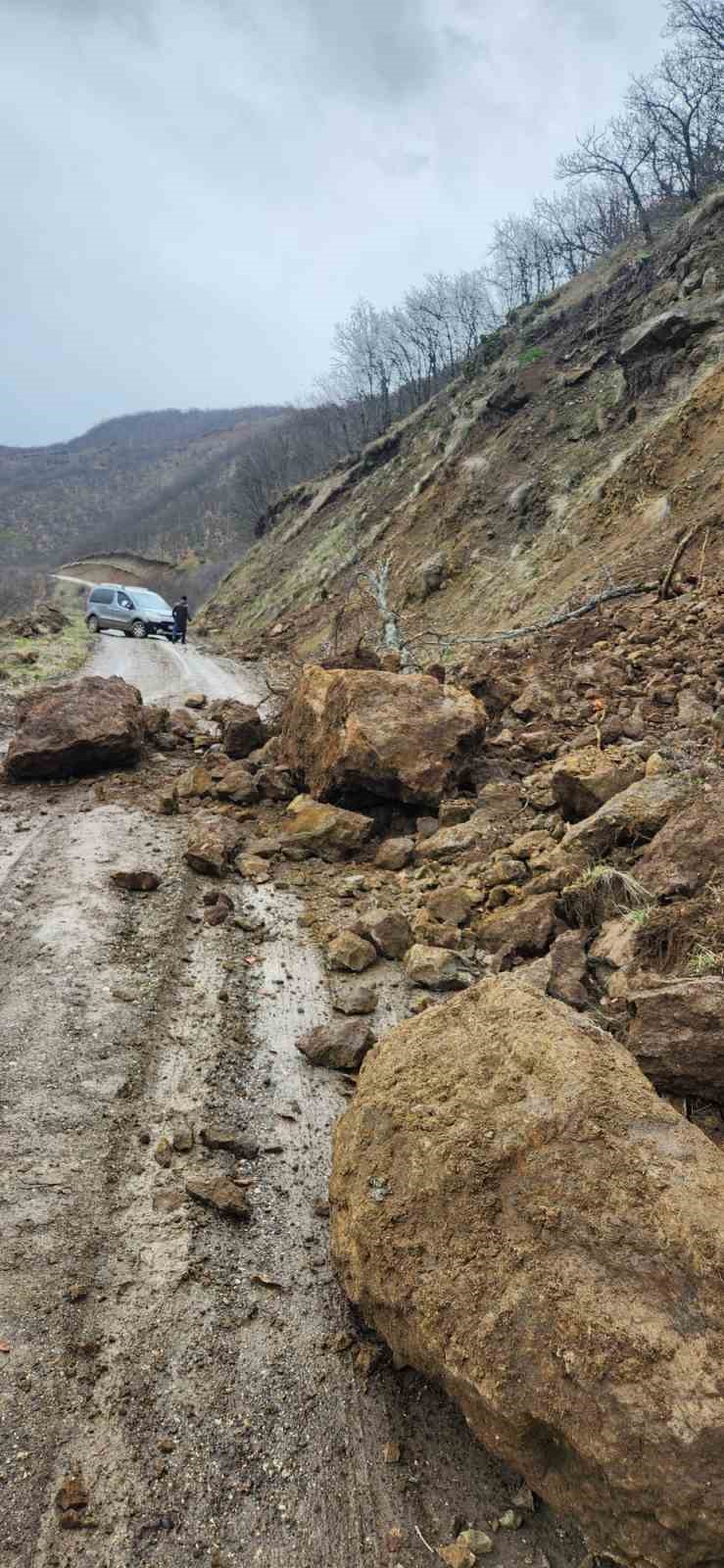 Karakoçan’da toprak kayması
