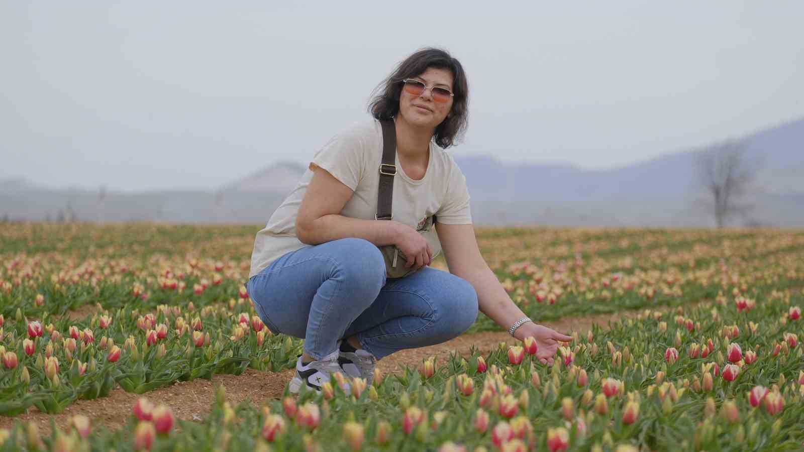 Karaman’da lale tarlası ziyaretçilerine hazırlanıyor
