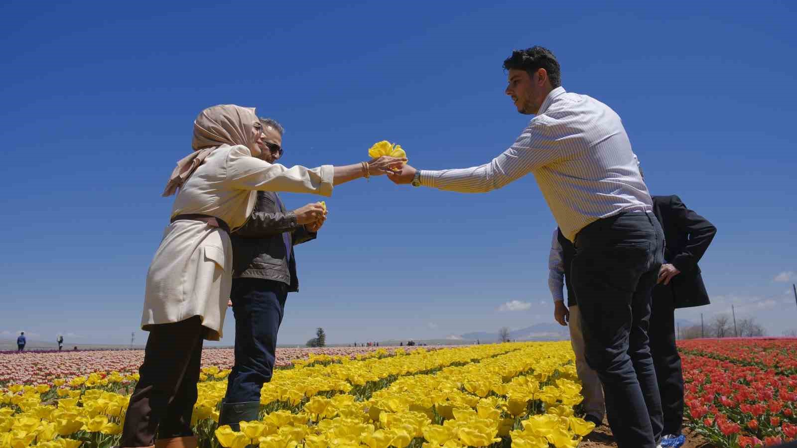 Karaman’da lale tarlasına ziyaretçi akını: 2 günde 30 bin kişi gezdi
