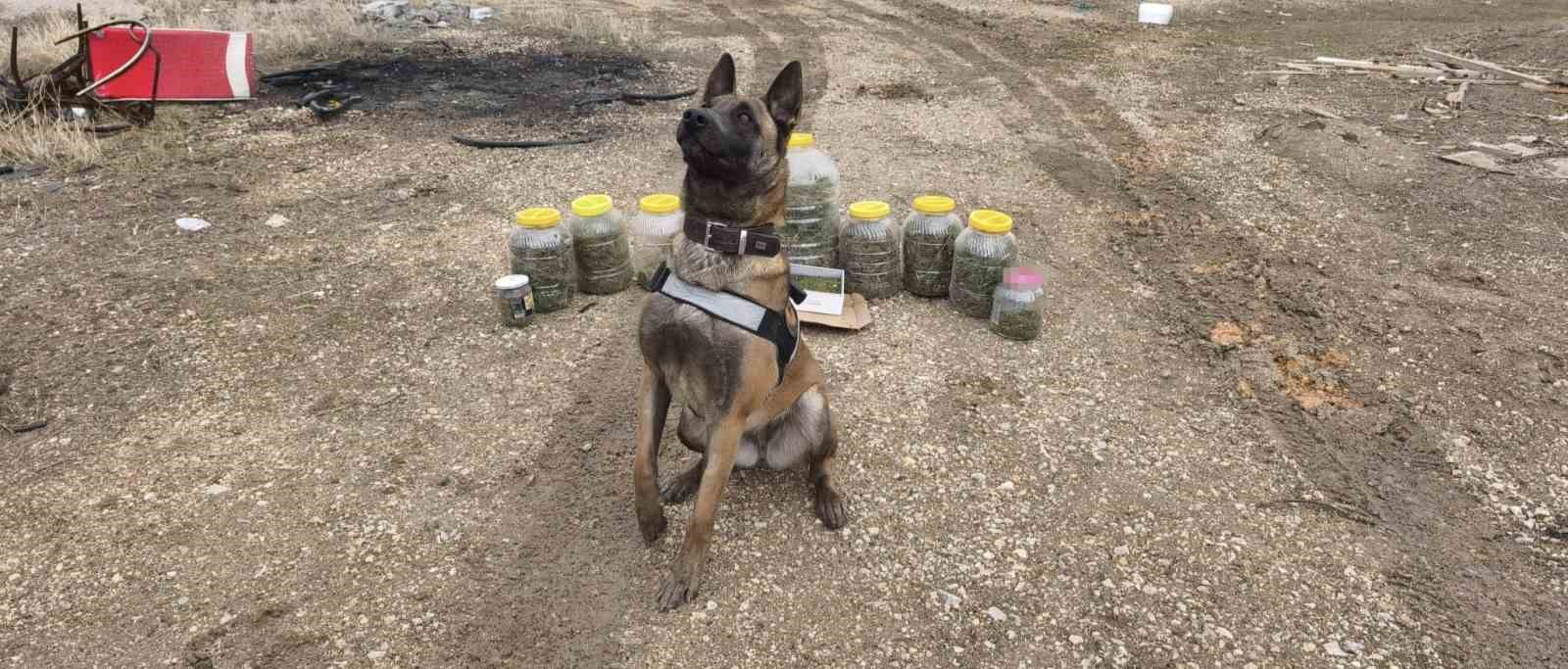 Karaman’da uyuşturucu operasyonu: 1 gözaltı
