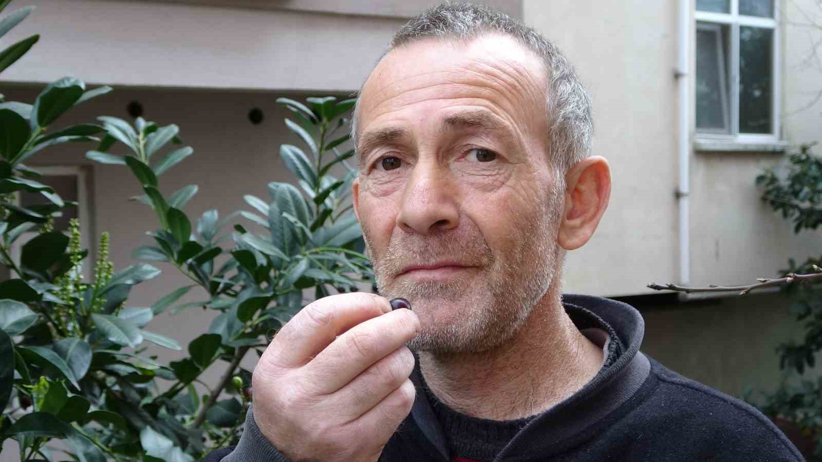 Karayemiş ağacı mevsimine 3 ay kala meyve verdi: "Tadı çok güzel"
