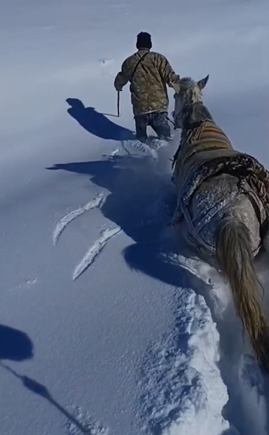 Karda mahsur kalan at ve katırlar güvenlik korucuları tarafından kurtarıldı
