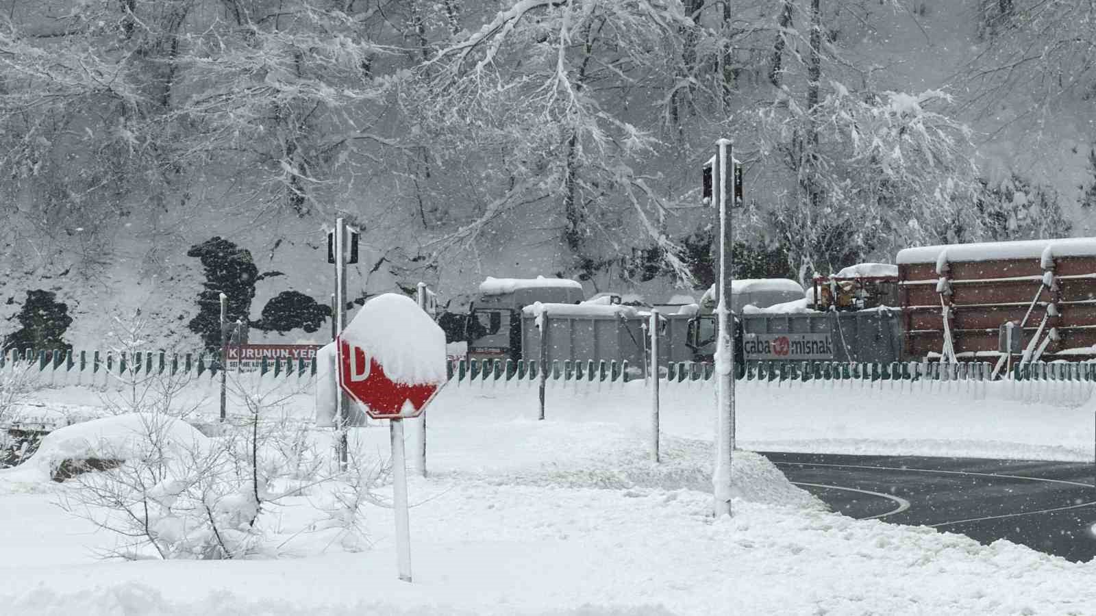 Karda yolda kalan tır, 2 çekici ile kurtarıldı
