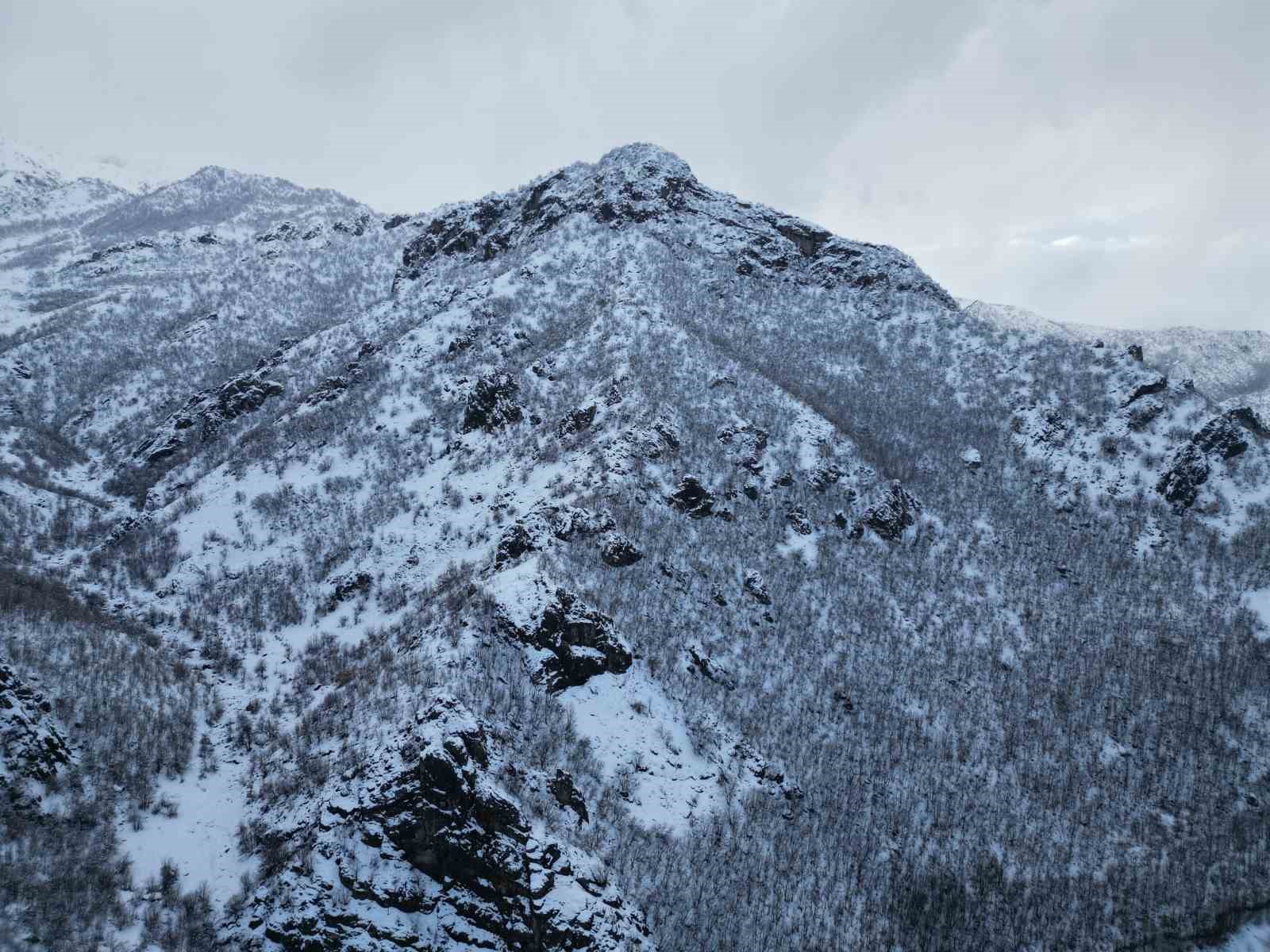 Karla birlikte meşe ormanı beyaza büründü
