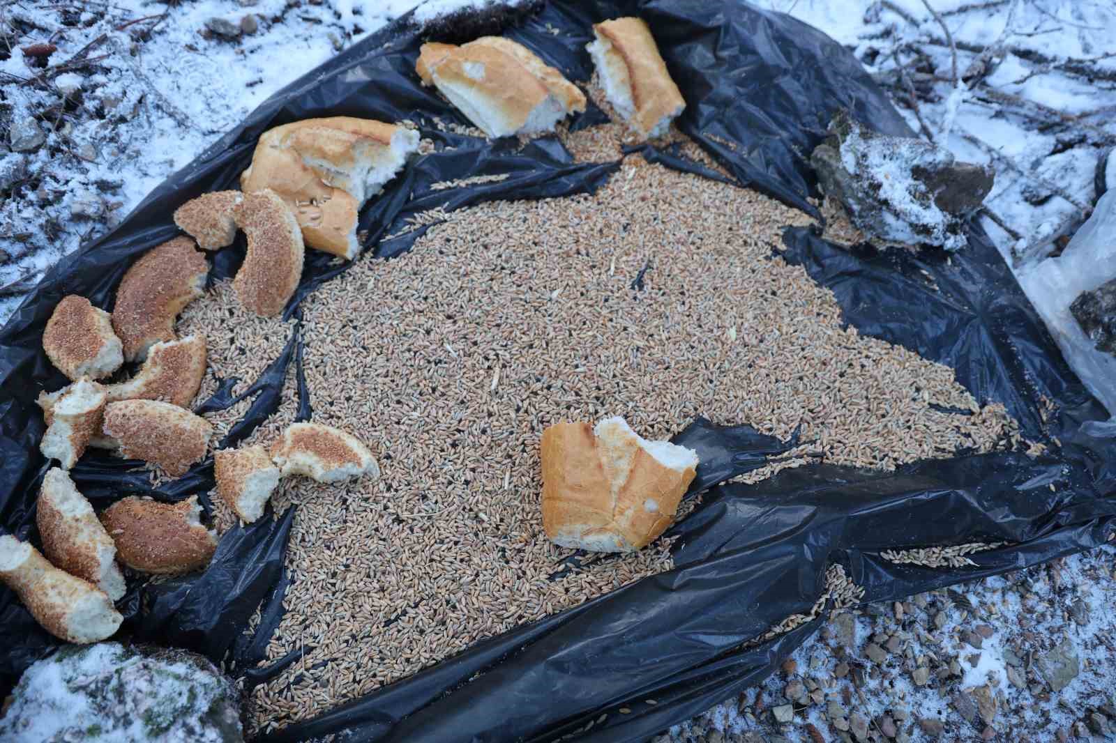 Karla kaplanan orman ve yaylalardaki canlılara şefkat eli
