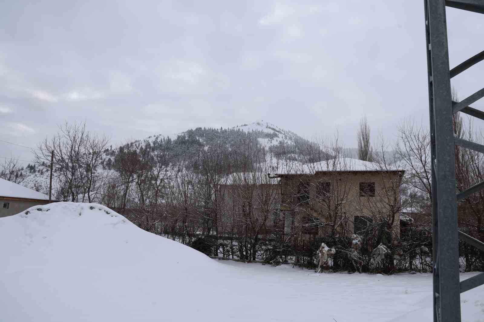 Karla kaplanan orman ve yaylalardaki canlılara şefkat eli
