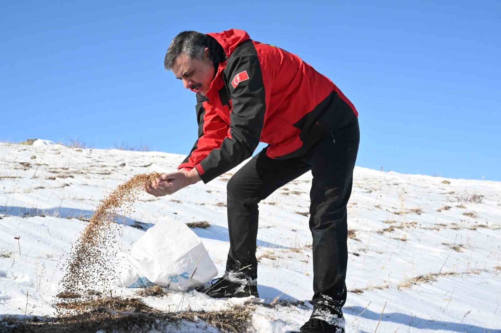 Karla kaplı dağdan donmuş gölete botla kaydılar
