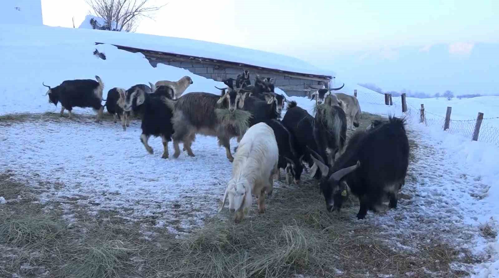 Karla kaplı mezrada mahsur kalan köylünün imdadına ekipler yetişti
