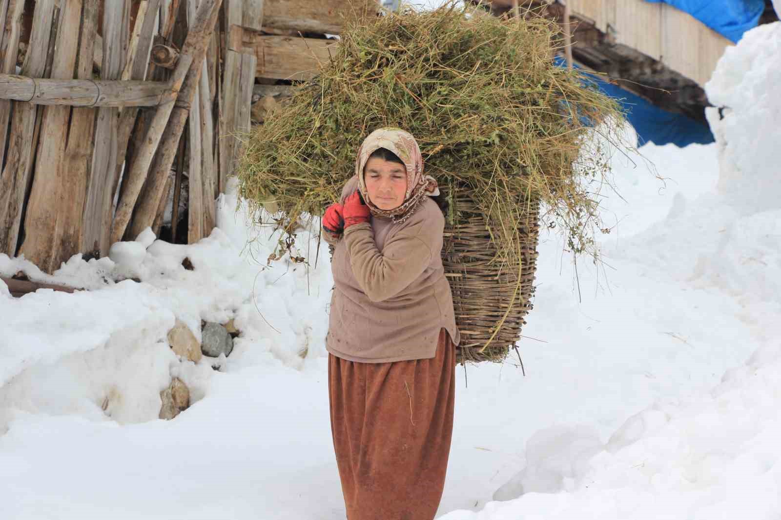 Karlar altındaki doğal yaşam Maden köyünde sanatla buluştu
