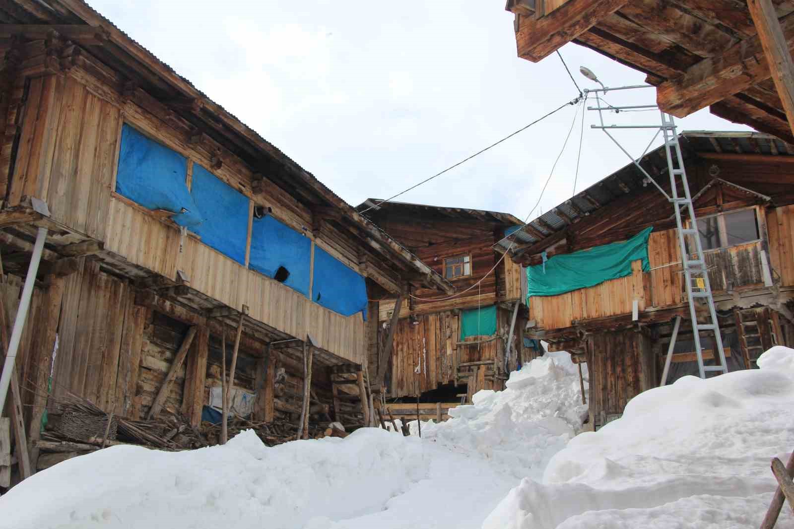 Karlar altındaki doğal yaşam Maden köyünde sanatla buluştu
