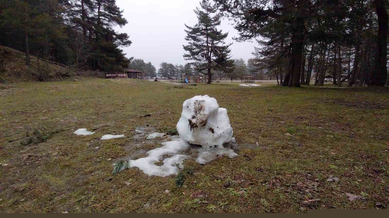 Karlar eridi, dereler coştu: Çiçekler açtı
