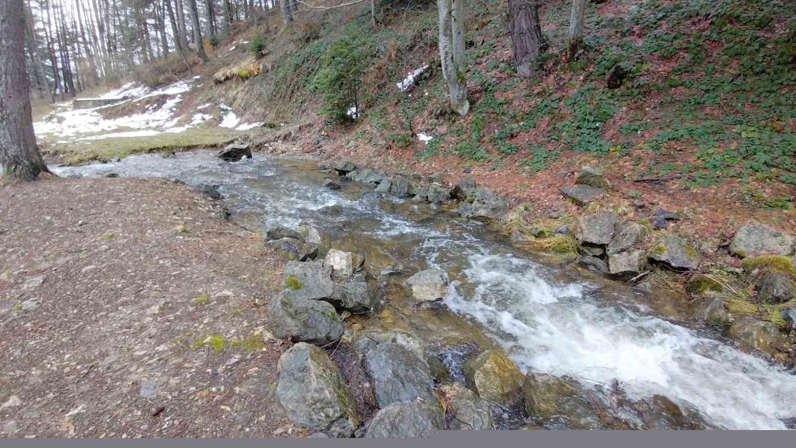 Karlar eridi, dereler coştu: Çiçekler açtı
