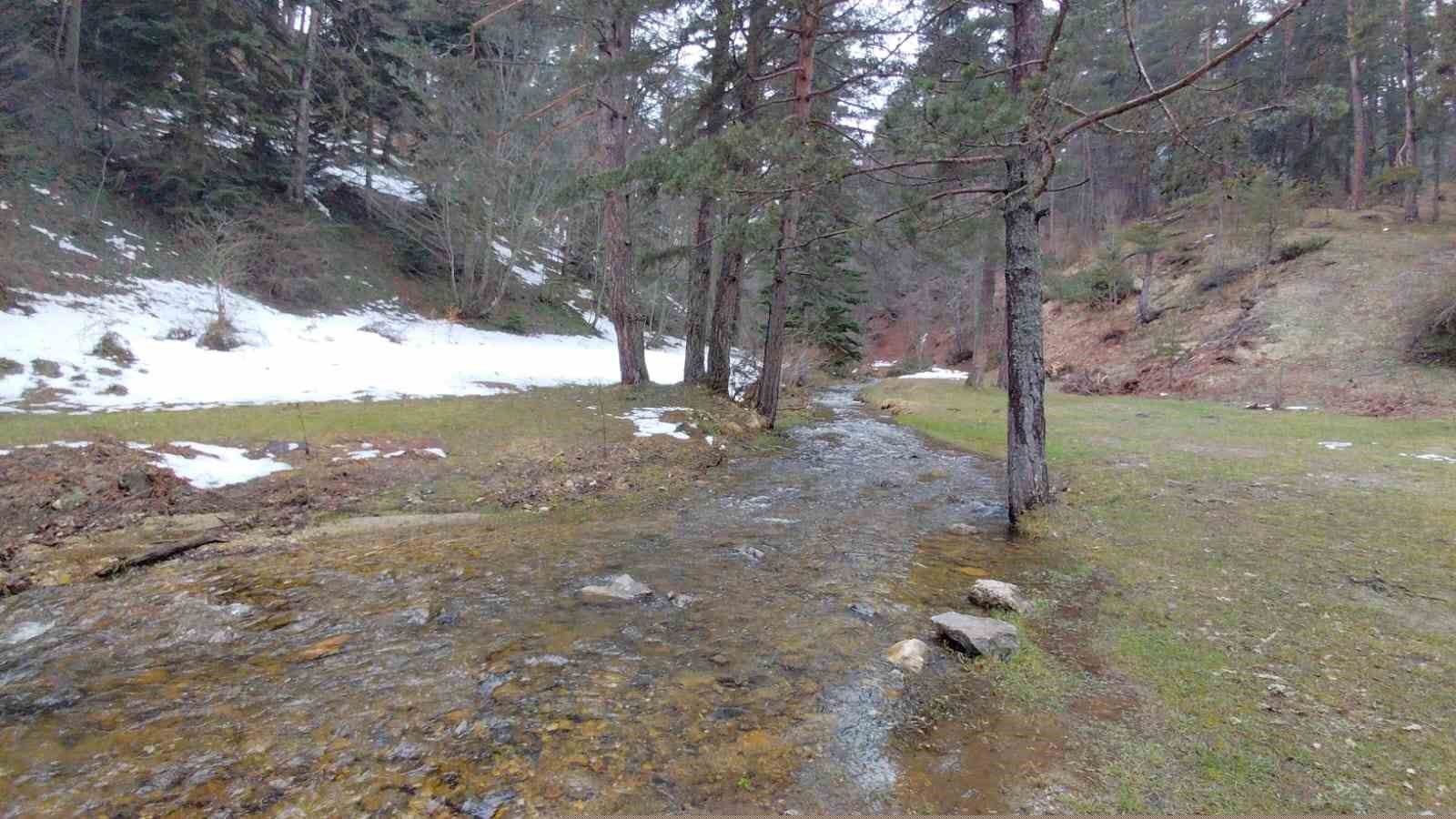 Karlar eridi, dereler coştu: Çiçekler açtı
