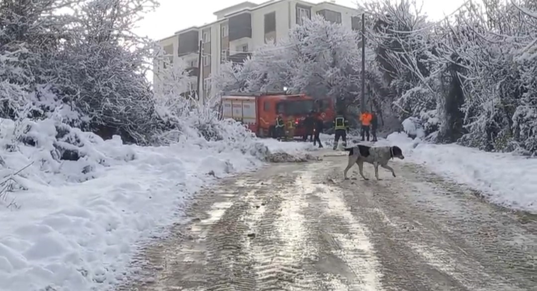 Karlı yolda çöp kamyonu geriye kaydı, işçi yaralandı
