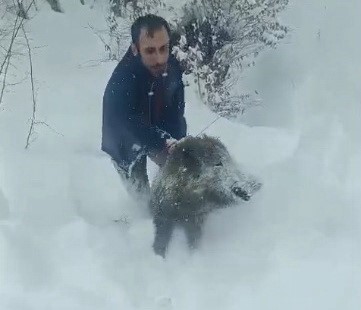 Karlı yolda domuzu elleriyle yakalayan adam konuştu: "Bir anı olsun diye yakaladım, kimseye tavsiye etmem"
Karlı yolda domuzu elleriyle yakalayan adam konuştu: "Bir anı olsun diye yakaladım, kimseye tavsiye etmem"