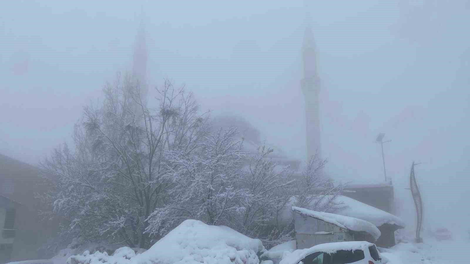 Karlıova’da 40 gündür süren kar yağışı hayatı zorlaştırıyor
